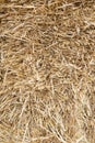 Hay Texture Background, Straw Pattern, Dry Golden Grass Mockup, Dry Baled Hay Bales Stacks Banner Royalty Free Stock Photo