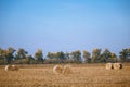 Hay bail harvesting in wonderful autumn farmers field landscape with hay stacks Royalty Free Stock Photo