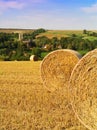 Hay bails Royalty Free Stock Photo