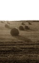 Hay bails Royalty Free Stock Photo