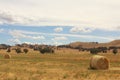 Hay bails in farm landscape