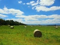 Hay bails in farm landscape in Victoria, Australia Royalty Free Stock Photo