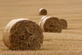 Hay bails in field (3)