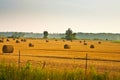 Hay Bails in a Field Royalty Free Stock Photo