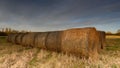 Hay Bails Royalty Free Stock Photo