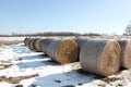 Hay bails with snow