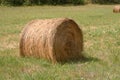 Hay bal Royalty Free Stock Photo