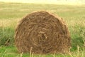 Hay Bale