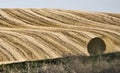Hay Bale Royalty Free Stock Photo