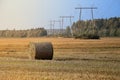 Hay bale. Agriculture field with blue sky and power lines. Rural nature in the farm land. Straw on the meadow. Royalty Free Stock Photo