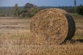 Hay bale. Agriculture field with blue sky. Rural nature in the farm land. Straw on the meadow. Wheat yellow golden harvest