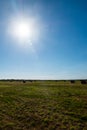 Hay bale. Agriculture field with bright sun in the sky