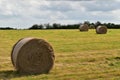 Hay bale. Agriculture field, rural nature in the farm land.