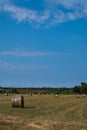 Hay bale. Agriculture field with sky. Grain crop, harvesting.