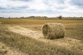 Hay bale. Agriculture field with sky. Rural nature in the farm land. Straw on the meadow. Wheat yellow golden harvest in summer. C Royalty Free Stock Photo