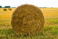 Hay bale. Agriculture field with sky. Rural nature in the farm land. Straw on the meadow.