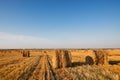 Hay bale. Agriculture field with sky. Rural nature in the farm land. Straw on the meadow. Wheat yellow golden harvest in summer. Royalty Free Stock Photo