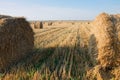 Hay bale. Agriculture field with sky. Rural nature in the farm land. Straw on the meadow. Wheat yellow golden harvest in summer. Royalty Free Stock Photo