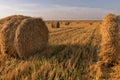 Hay bale. Agriculture field with sky. Rural nature in the farm land. Straw on the meadow. Wheat yellow golden harvest in summer. Royalty Free Stock Photo