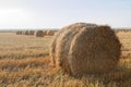 Hay bale. Agriculture field with sky. Rural nature in the farm land. Straw on the meadow. Wheat yellow golden harvest in summer. Royalty Free Stock Photo