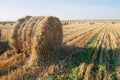 Hay bale. Agriculture field with sky. Rural nature in the farm land. Straw on the meadow. Wheat yellow golden harvest in summer. Royalty Free Stock Photo