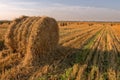 Hay bale. Agriculture field with sky. Rural nature in the farm land. Straw on the meadow. Wheat yellow golden harvest in summer. Royalty Free Stock Photo