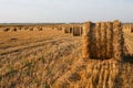 Hay bale. Agriculture field with sky. Rural nature in the farm land. Straw on the meadow. Wheat yellow golden harvest in summer. Royalty Free Stock Photo