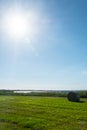 Hay bale. Agriculture field with sky.