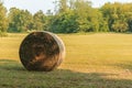 A Hay bale. Agriculture field, trees, and sky.