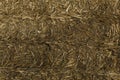 Hay bale background Royalty Free Stock Photo