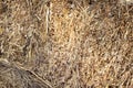 Hay bale background Royalty Free Stock Photo