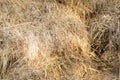 Hay bale background Royalty Free Stock Photo