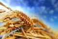 Hay Bale Close Up