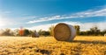 Hay bale in a farm field