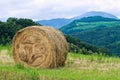 Hay bale field. Royalty Free Stock Photo