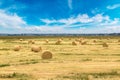 Hay bale field