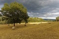 Hay Bale Field