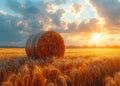 Hay bale in the field at sunset. A hay bales in a field under a sky sky with sun shine Royalty Free Stock Photo