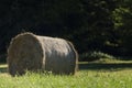 Hay bale on a field, trees background