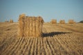 Hay bale on field with wheat straw and sky in the farm land at s