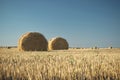 Hay bale on field with wheat straw and sky in the farm land at s