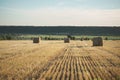 Hay bale on field with wheat straw and sky in the farm land at s