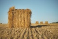 Hay bale on field with wheat straw and sky in the farm land at s