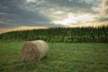 Hay bale and green corn field, evening sky with grey clouds Royalty Free Stock Photo