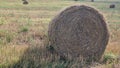 Hay Bale in a Harvested Field Royalty Free Stock Photo