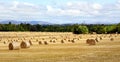 Hay bale harvesting in golden field landscape panoramic Royalty Free Stock Photo