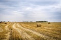 Hay bale. Haystack harvest field. ountryside natural landscape. Agriculture field haystacks in a village or farm with sky. Rural n Royalty Free Stock Photo