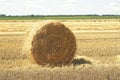 Hay bale. Haystacks harvested on field in summer. Haystack rolls on agriculture field landscape. Agriculture field haystack