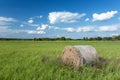 Hay bale lying in green grass in the meadow Royalty Free Stock Photo