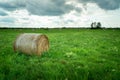 A hay bale lying on a green meadow Royalty Free Stock Photo